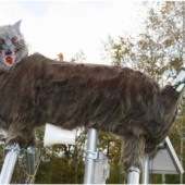 "Quái vật sói" xuất hiện tại Hokkaido để đuổi gấu khỏi khu dân cư